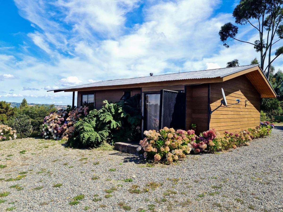 Turismo Del Bosque Apartment Castro Luaran gambar