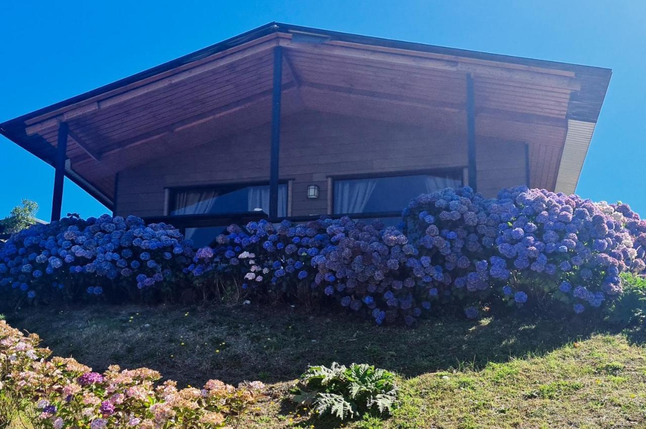 Turismo Del Bosque Apartment Castro Luaran gambar