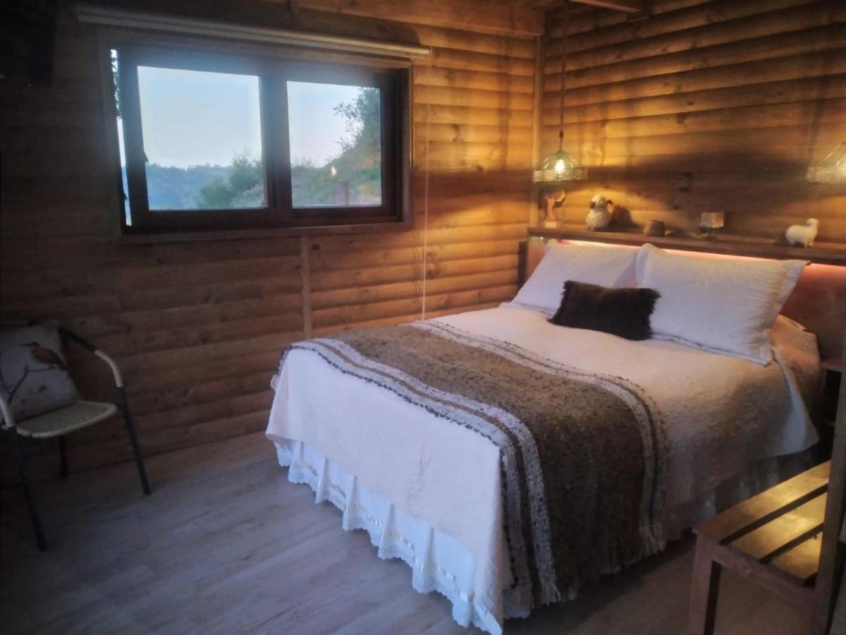 Turismo Del Bosque Apartment Castro Luaran gambar