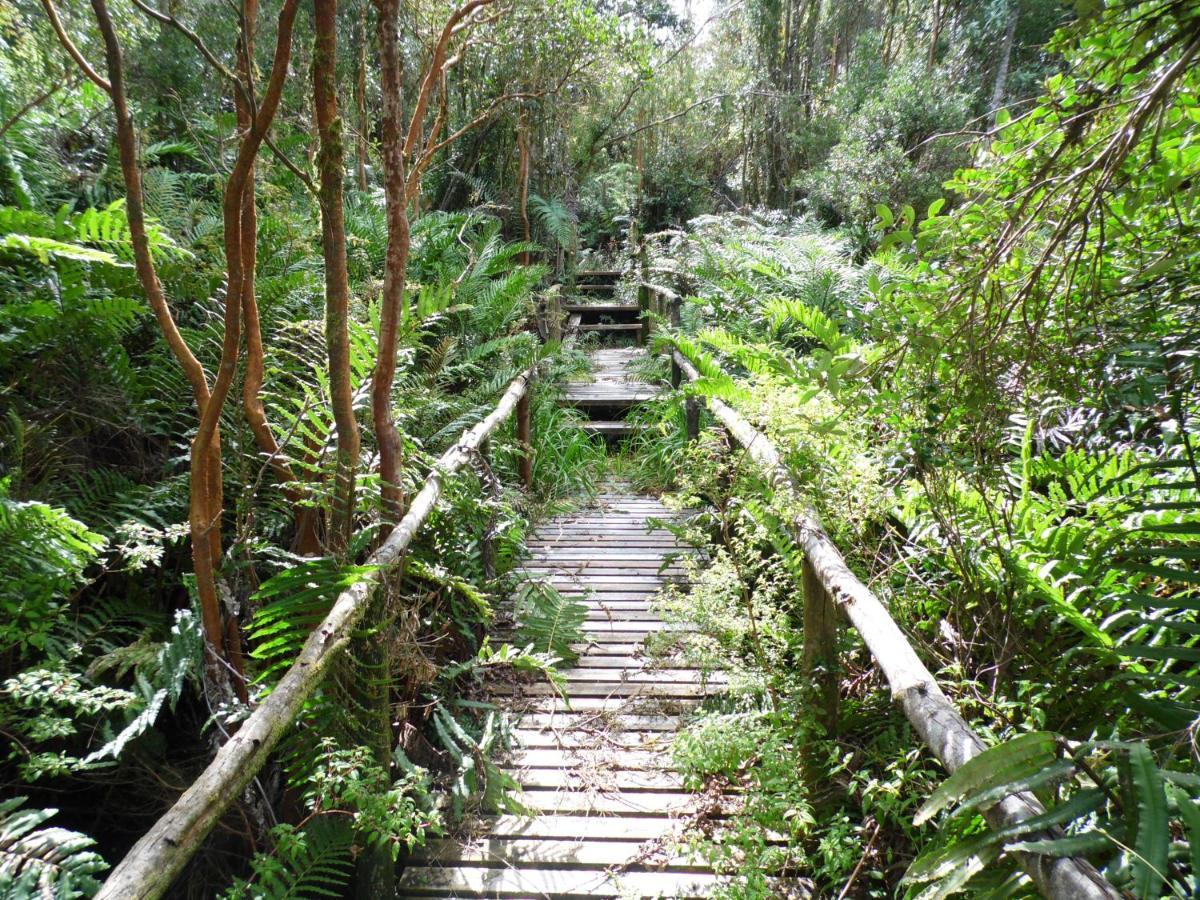 Turismo Del Bosque Apartment Castro Luaran gambar